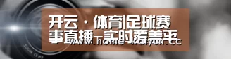 公司动态