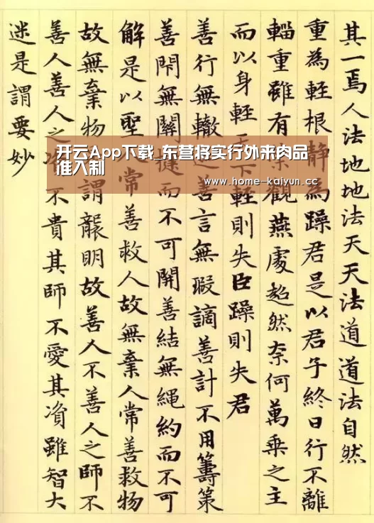 开云App下载