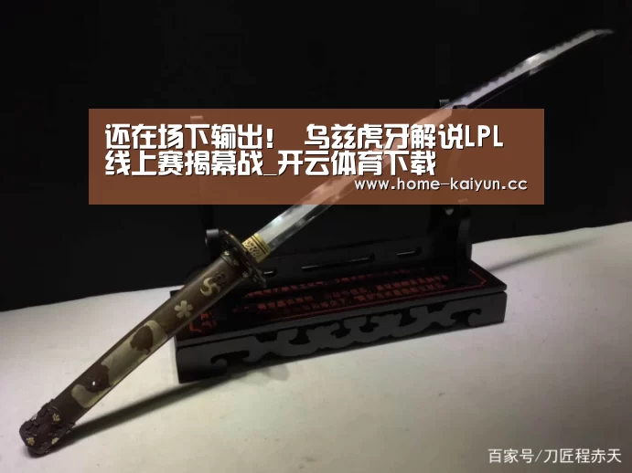 开云App下载